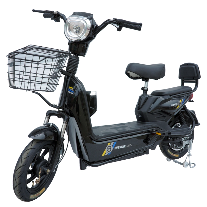 350W/450W 2 seat electric bike with basket MB2