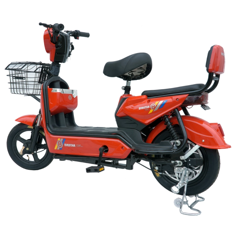 350W/450W 2 seat electric bike with basket MB2