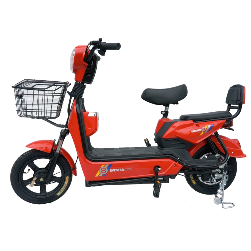 350W/450W 2 seat electric bike with basket MB2