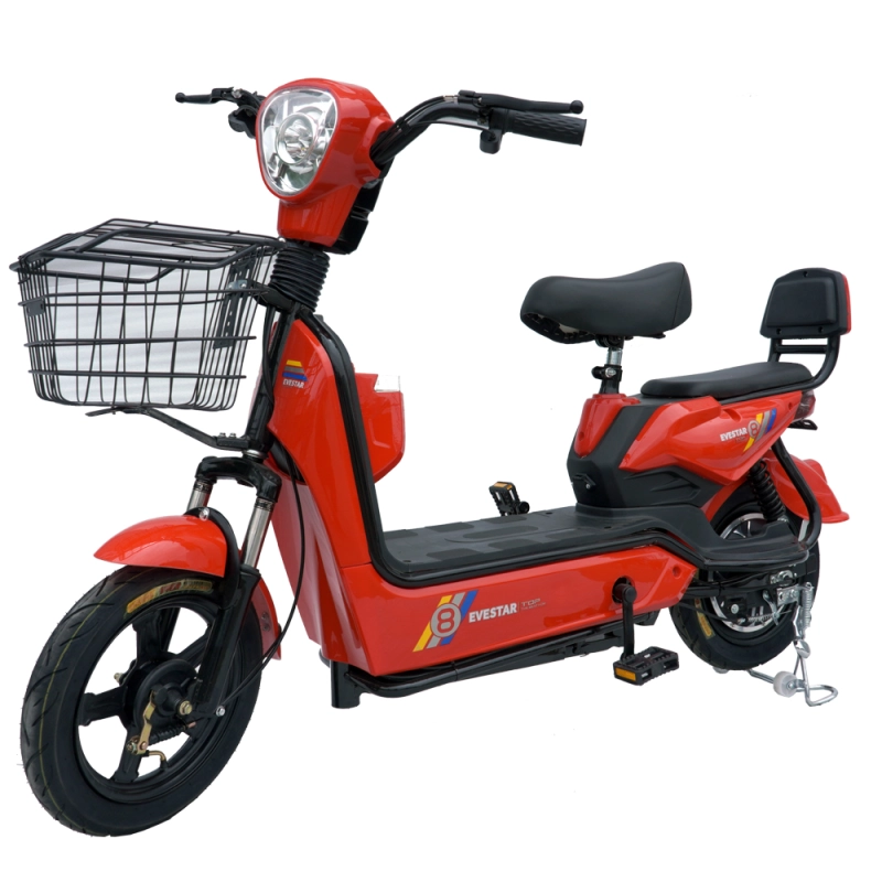 350W/450W 2 seat electric bike with basket MB2