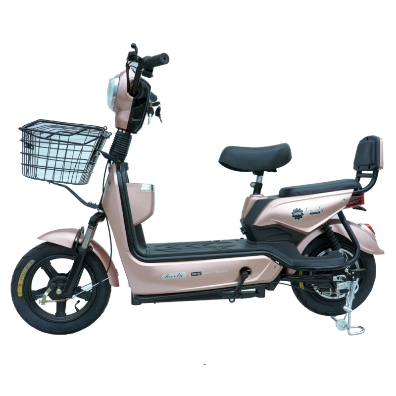 350W/450W 2 seat electric bike with basket MB2