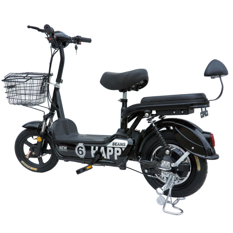 350W/450W 2seat electric bike removable battery MB3