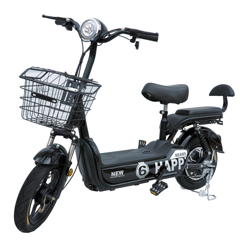 350W/450W 2seat electric bike removable battery MB3