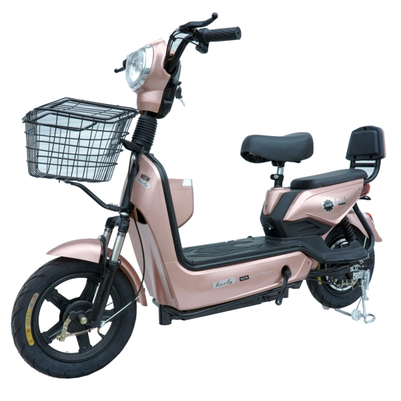 350W/450W 2 seat electric bike with basket MB2