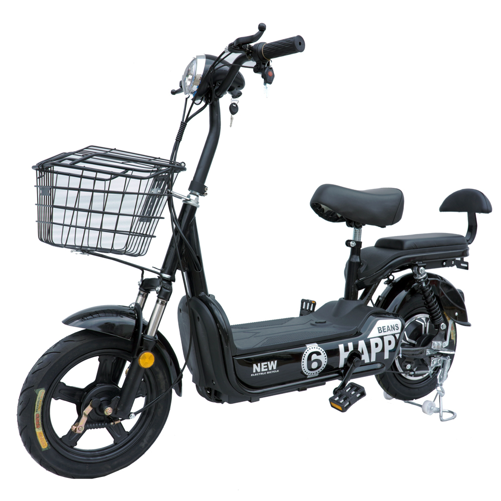 350W/450W 2seat electric bike removable battery MB3