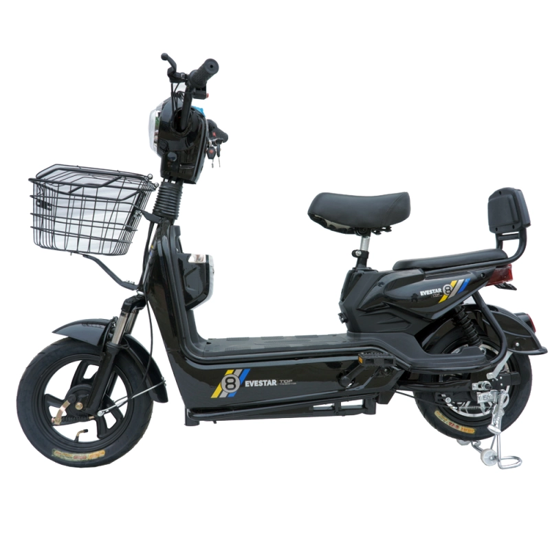 350W/450W 2 seat electric bike with basket MB2