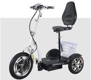 350w USA/Europe market hot sell 3 wheel electric scooters QS1