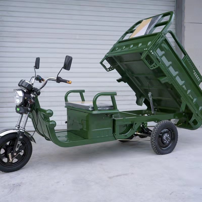 New Style Wholesale Three Wheels Electric Cargo Tricycle for Adults C06