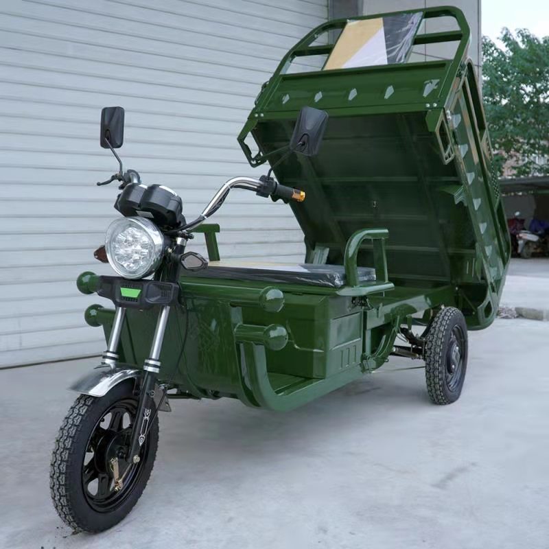 New Style Wholesale Three Wheels Electric Cargo Tricycle for Adults C06