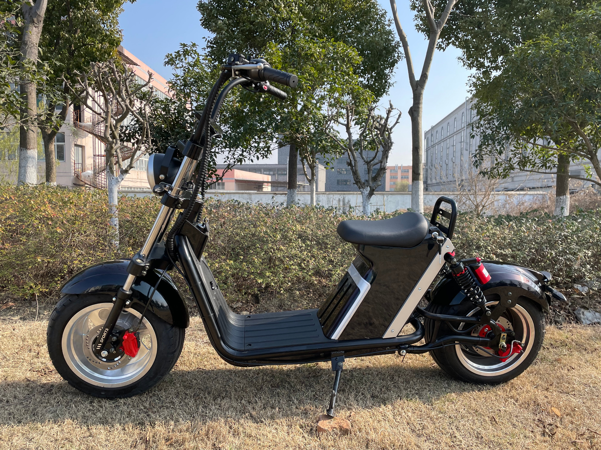 Electric Citycoco 2000w 3000W Motorcycle Scooter EEC COC Fat Tire