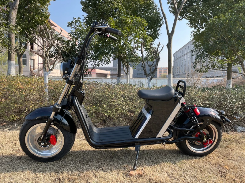 New Design Electric Citycoco 2000w 3000W Motorcycle Scooter EEC COC Fat Tire Two Wheels for Sale HR10