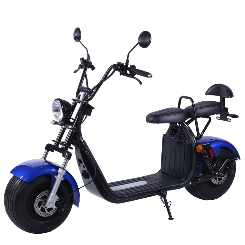 Holland Warehouse Electric Motorcycle 2000w 20Ah Scooter Europe Warehouse Fat Tire Two Wheel Citycoco Adult for Sale HR2-2 45km/h