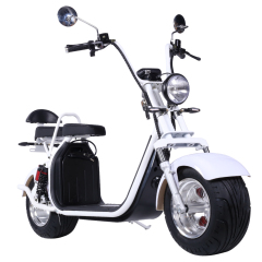 Holland Warehouse EEC COC European Warehouse Electric Citycoco 2000w20Ah Three-Speed Fat Tire Electric Scooter HR2-4 45km/h