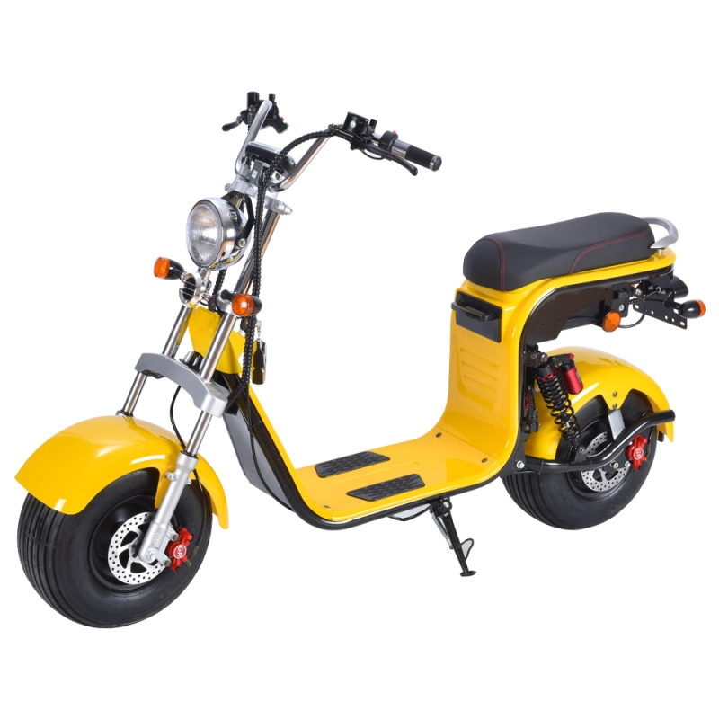 EEC COC seev citycoco 1500W 2000w 3000w electric scooter with fat bike tire HR8-2