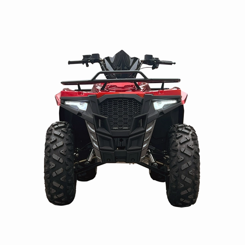 300cc Gas Powered Quad ATVs for Adults Drive 4x4 Racing Shaft Drive Four Wheel atvS Buggies ATV