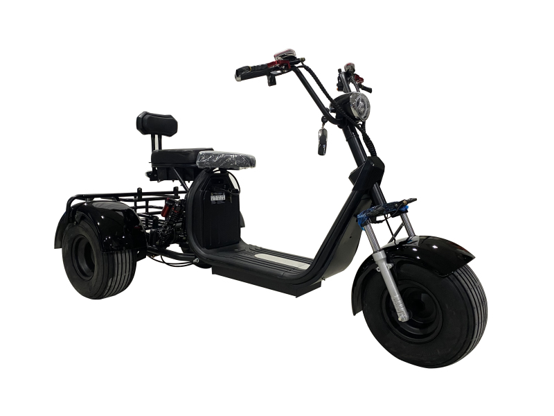 1000W/1500W/2000W Electric Scooter 3 Wheel Fat Tire Citycoco HT3