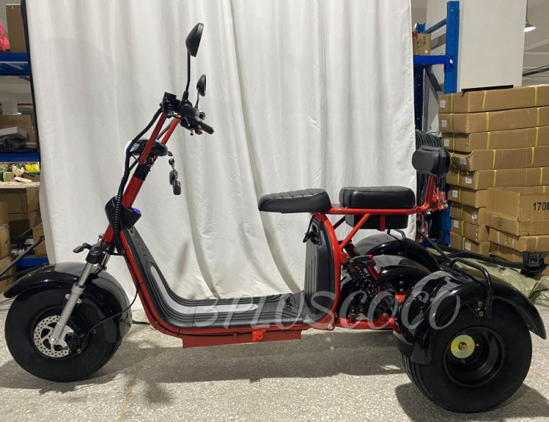 1000W/1500W/2000W Electric Scooter 3 Wheel Fat Tire Citycoco HT3