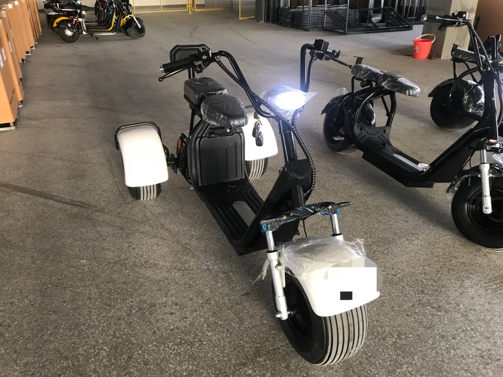 1000W/1500W/2000W Electric Scooter 3 Wheel Fat Tire Citycoco HT3