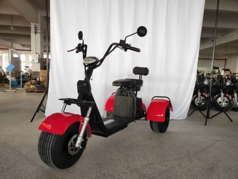 1000W/1500W/2000W Electric Scooter 3 Wheel Fat Tire Citycoco HT3