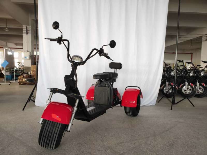 1000W/1500W/2000W Electric Scooter 3 Wheel Fat Tire Citycoco HT3