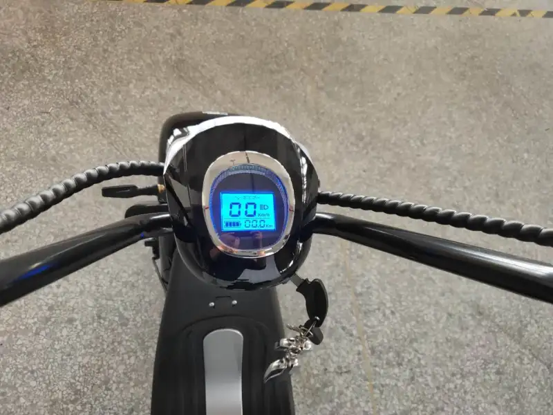 1000W/1500W/2000W Electric Scooter 3 Wheel Fat Tire Citycoco HT3
