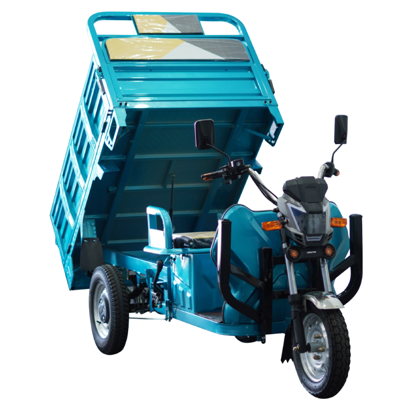 Electric Tricycle Q10