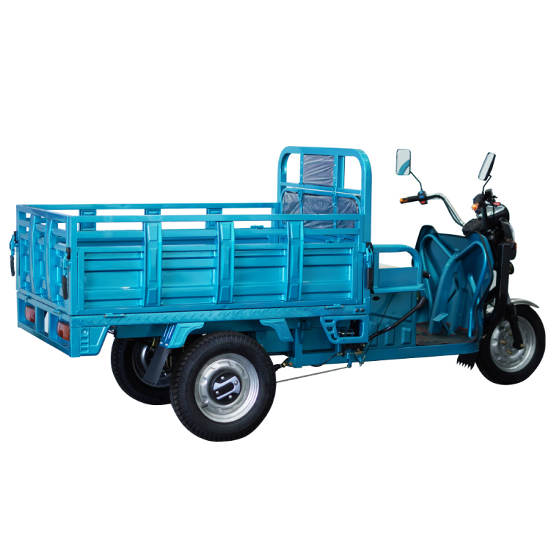 Electric Tricycle Q10