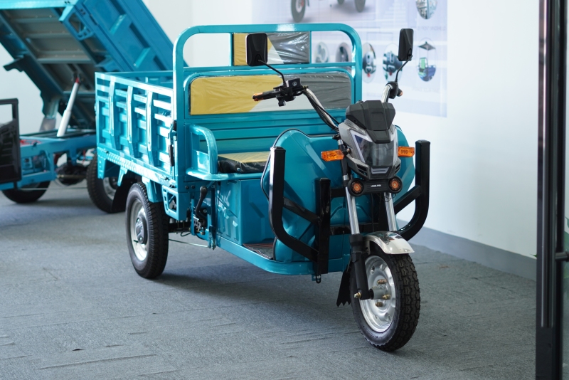 Electric Tricycle Q10