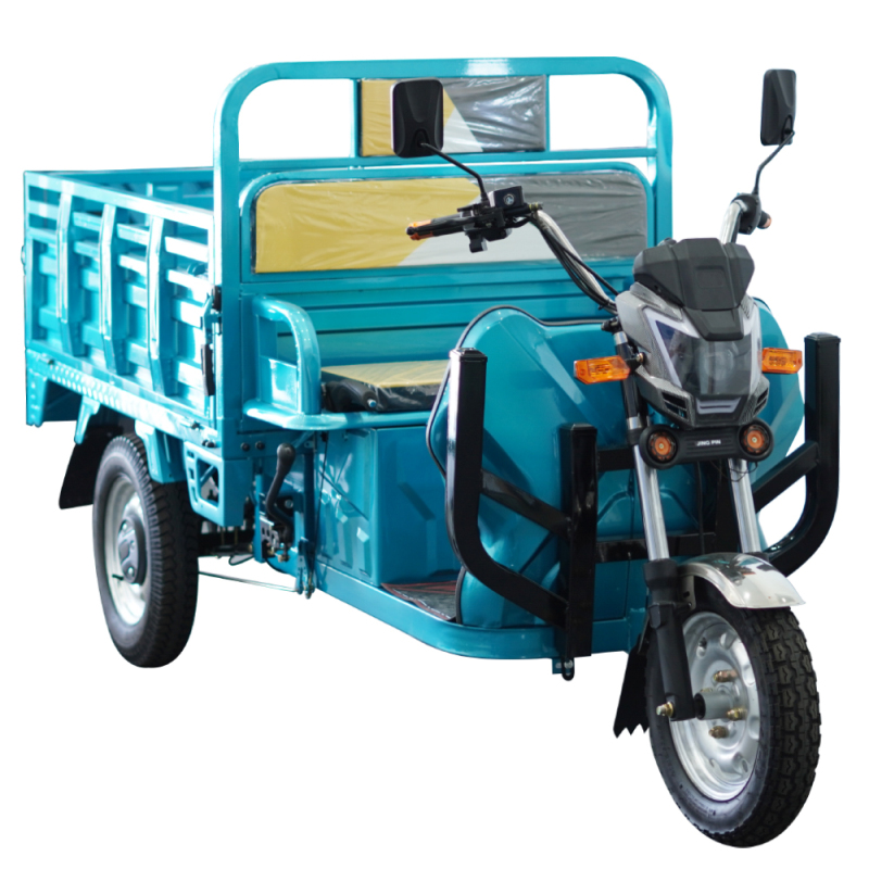 Electric Tricycle Q10