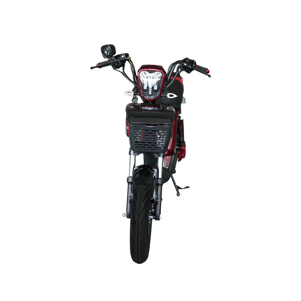 800w 35Ah Ebike Electric Bike City Fat Tire Bike Bicycle Adult With Big Seat Lithium Battery MX10