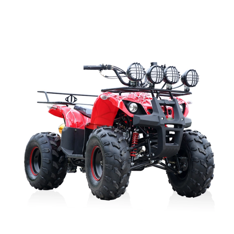 ATV Quad Bike Gasoline 125cc Differential Shaft Drive All Terrain Vehicle for Adult Cost-Effective 01