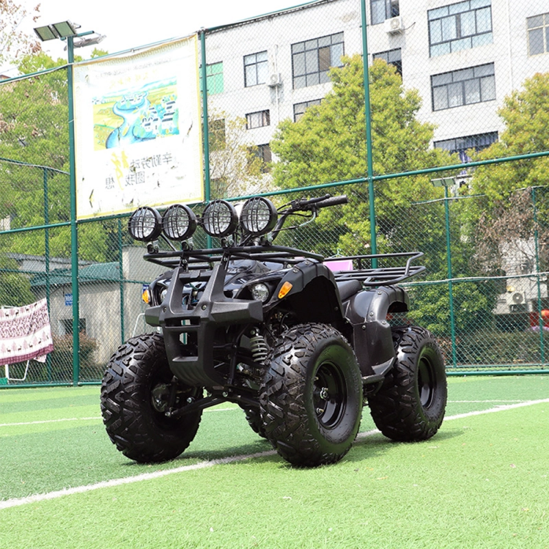 ATV Quad Bike Gasoline 125cc Differential Shaft Drive All Terrain Vehicle for Adult Cost-Effective 01