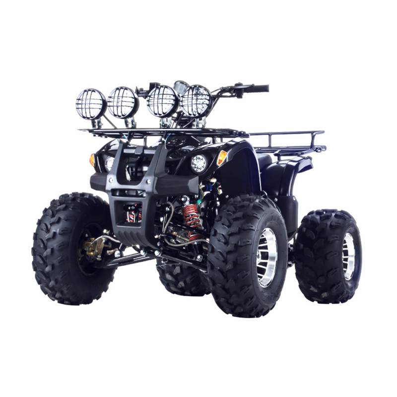 ATV Quad Bike Gasoline 125cc Differential Shaft Drive All Terrain Vehicle for Adult Cost-Effective 01