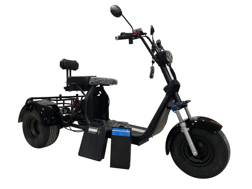 Electric 3 wheel fat tire citycoco HT3
