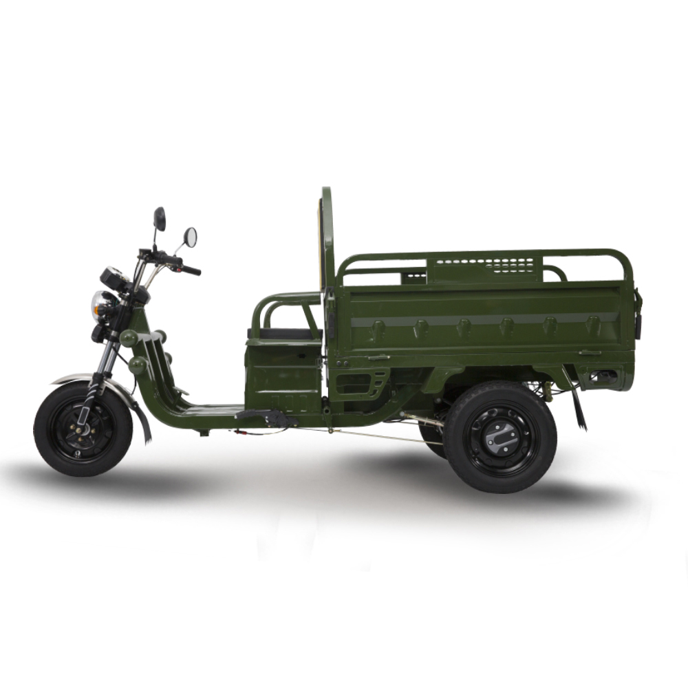 Wholesale Three Wheels Electric Cargo Tricycle for Adults EEC C06