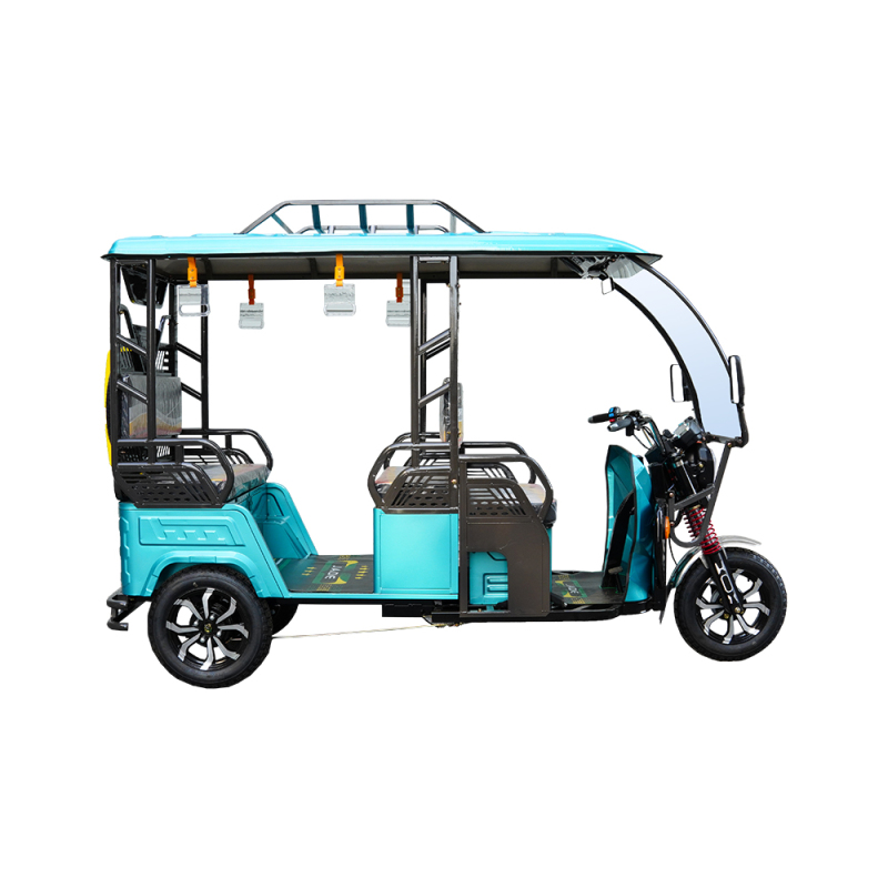 3 Wheel Electric Tricycle Trike with Passenger Seat 100Ah