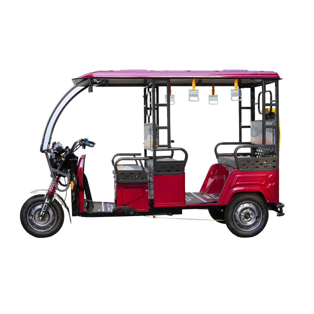 Electric Passenger Tricycle Trike 3 Wheel with Seat 100Ah Long Range for Adults