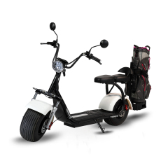US Warehouse High quality electric scooter citycoco 2000w 20Ah with CE HS1 45km/h Lithium battery