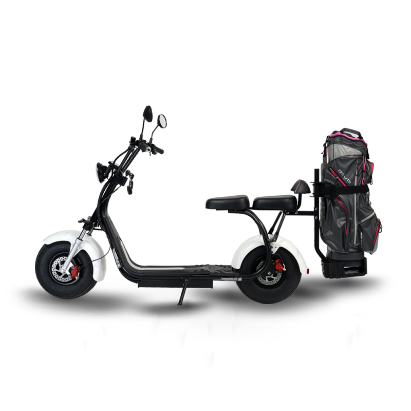 US Warehouse High quality electric scooter citycoco 1500w 2000w 20Ah with CE HS1 45km/h Lithium battery