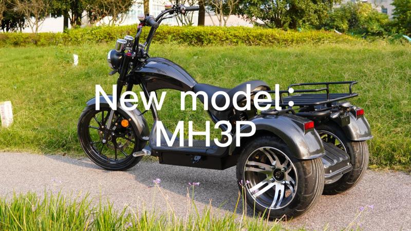 3 Wheel Electric Tricycle Citycoco Scooter Chopper MH3P