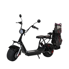 With Golf Stand