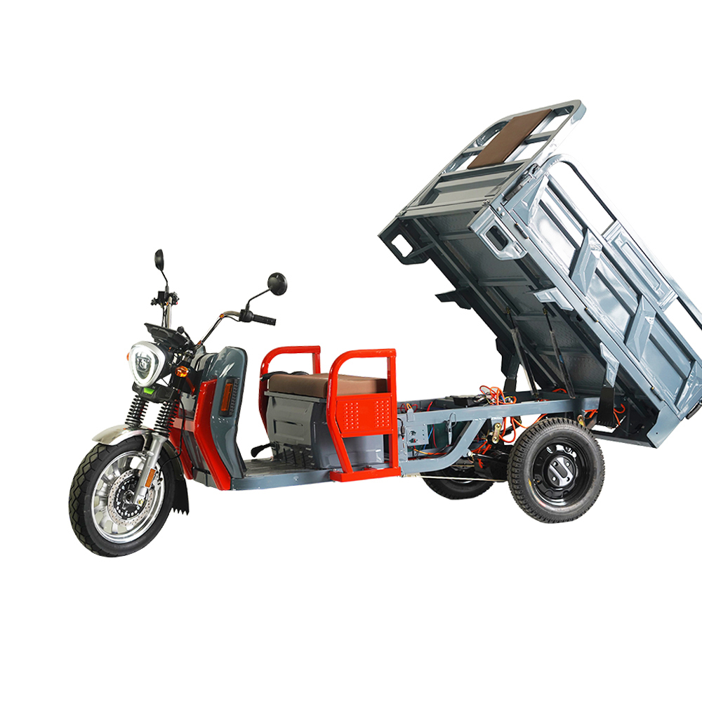 EEC Electric Tricycles Adult Cargo Bike Brushless Motor Powerful Electric Vehicle Hot Sale Romanian warehouse