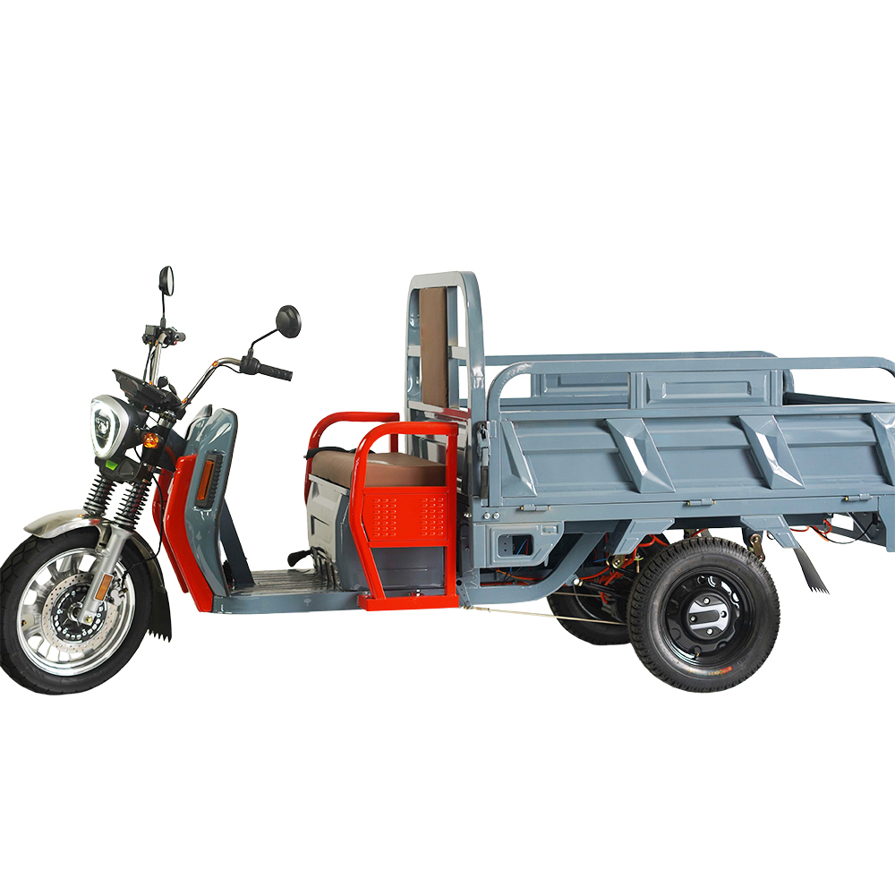 EEC Electric Tricycles Adult Cargo Bike Brushless Motor Powerful Electric Vehicle Hot Sale Romanian warehouse