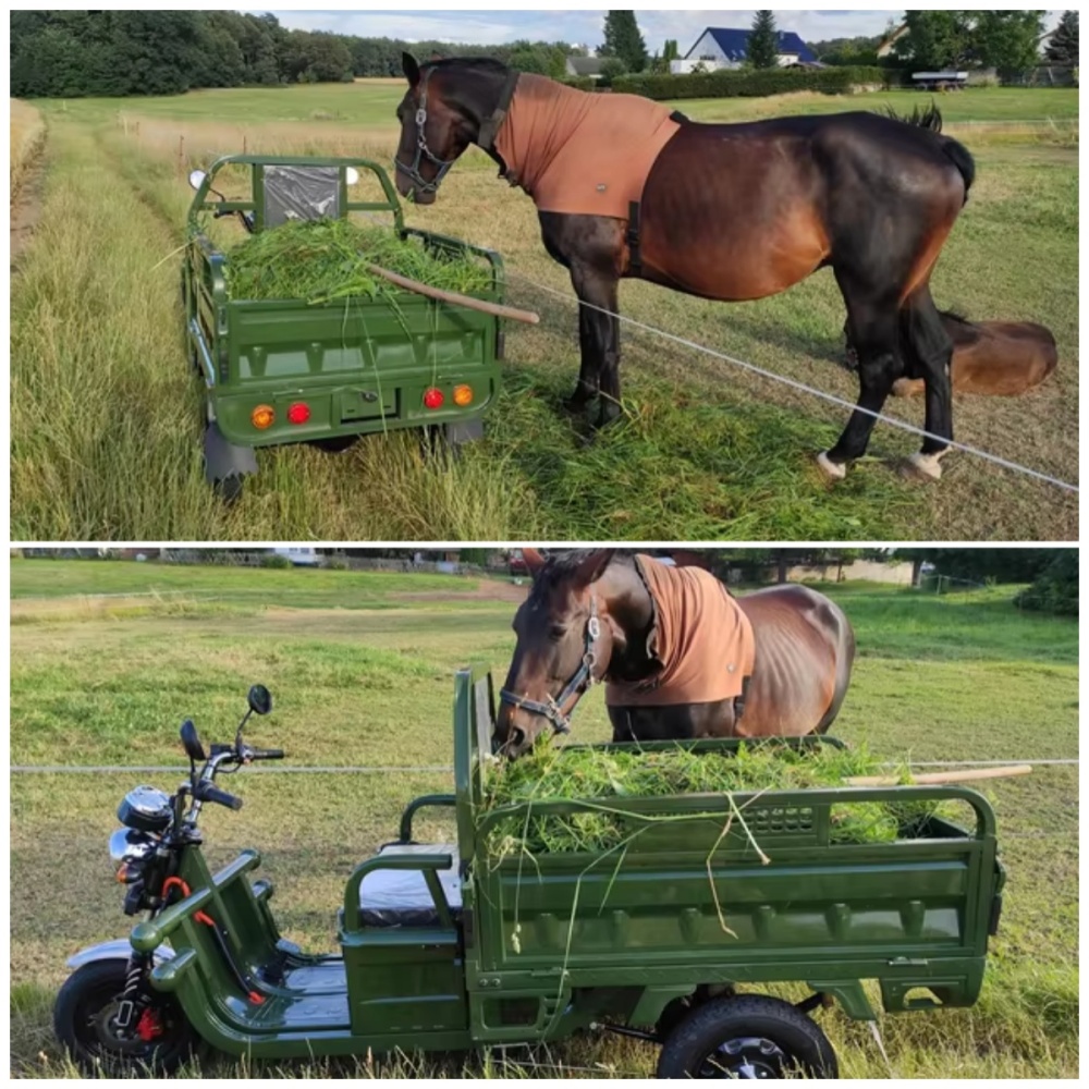 Romanian warehouse Three Wheels Electric Cargo Tricycle for Adults EEC C06 Frankfurt Warehouse