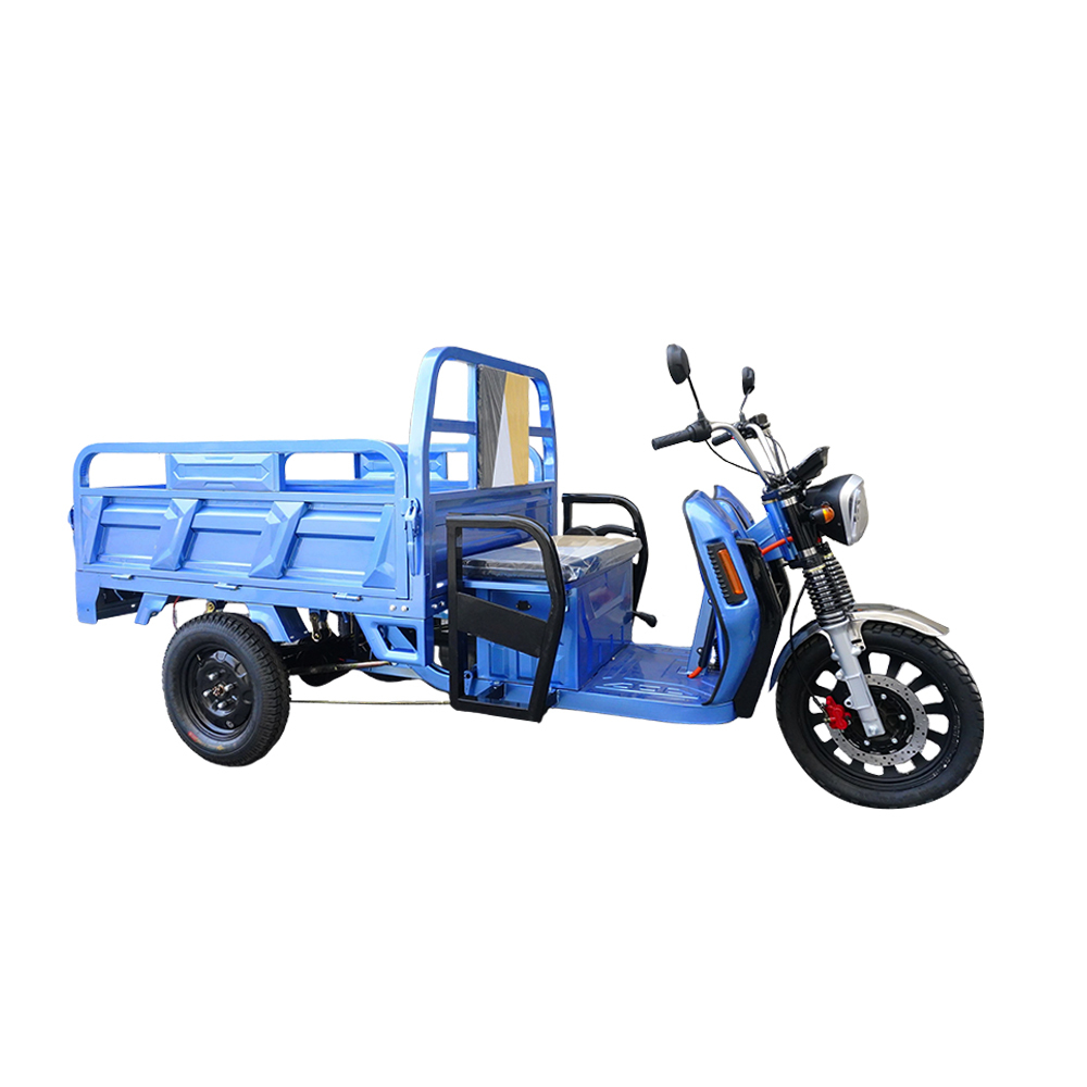 EEC Electric Tricycles Adult Cargo Bike Brushless Motor Powerful Electric Vehicle Hot Sale Romanian warehouse
