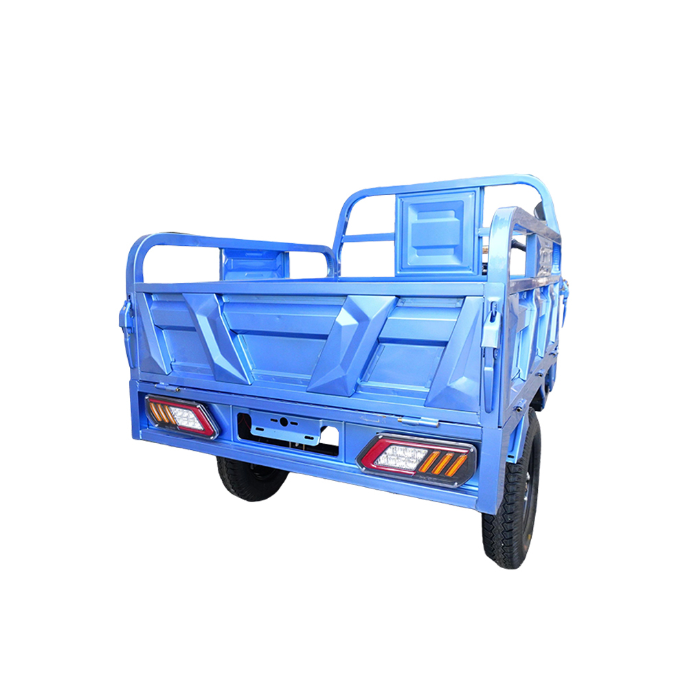 EEC Electric Tricycles Adult Cargo Bike Brushless Motor Powerful Electric Vehicle Hot Sale Romanian warehouse