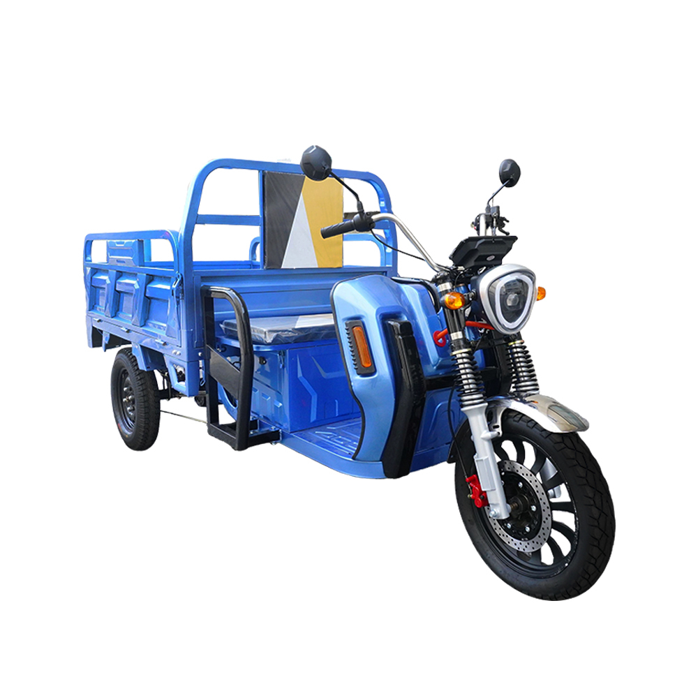 EEC Electric Tricycles Adult Cargo Bike Brushless Motor Powerful Electric Vehicle Hot Sale Romanian warehouse