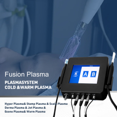 Fusion Plasma