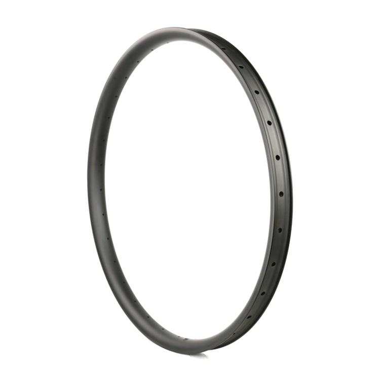 downhill mountain bike rims