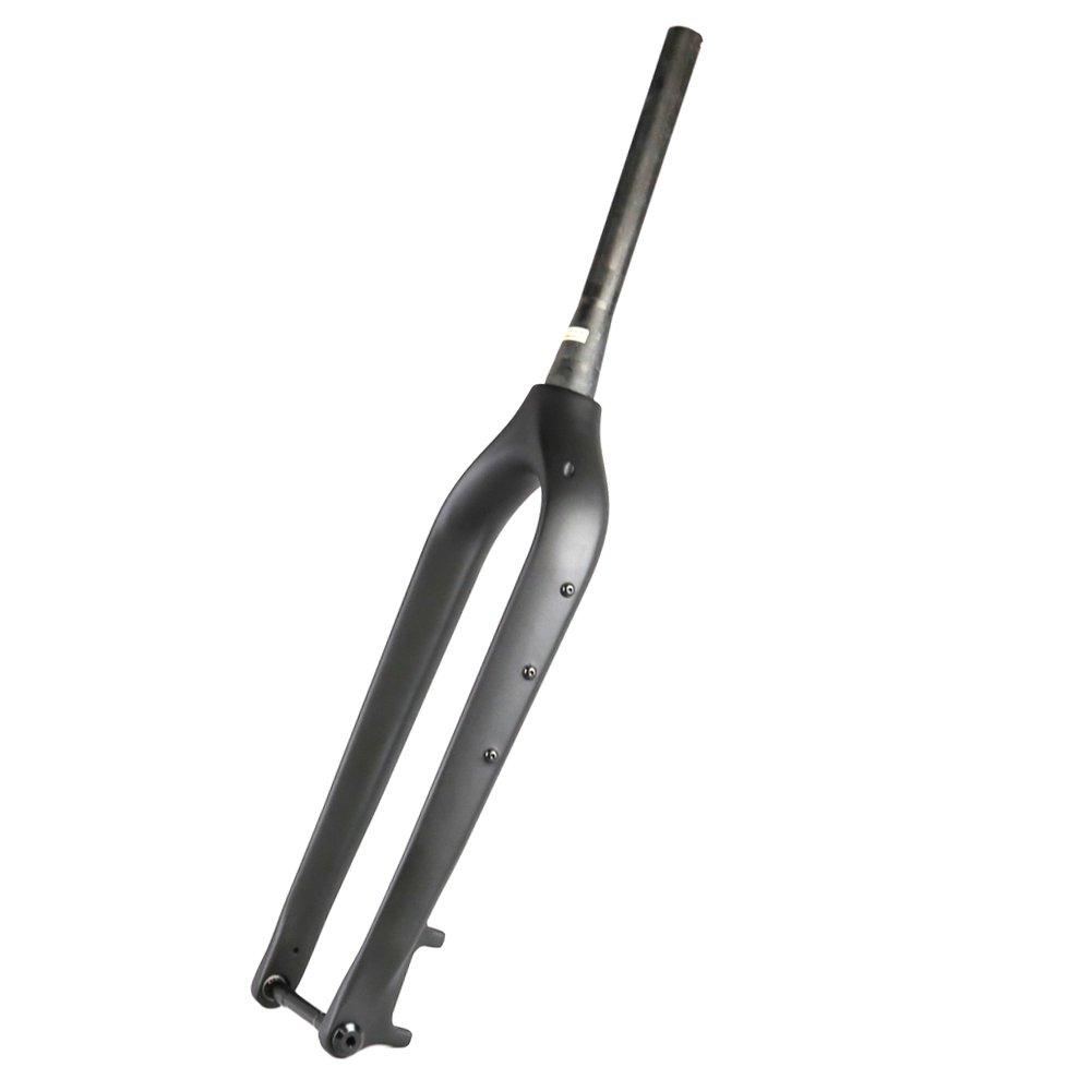 PLUS29 29er Boost Rigid Carbon Fork